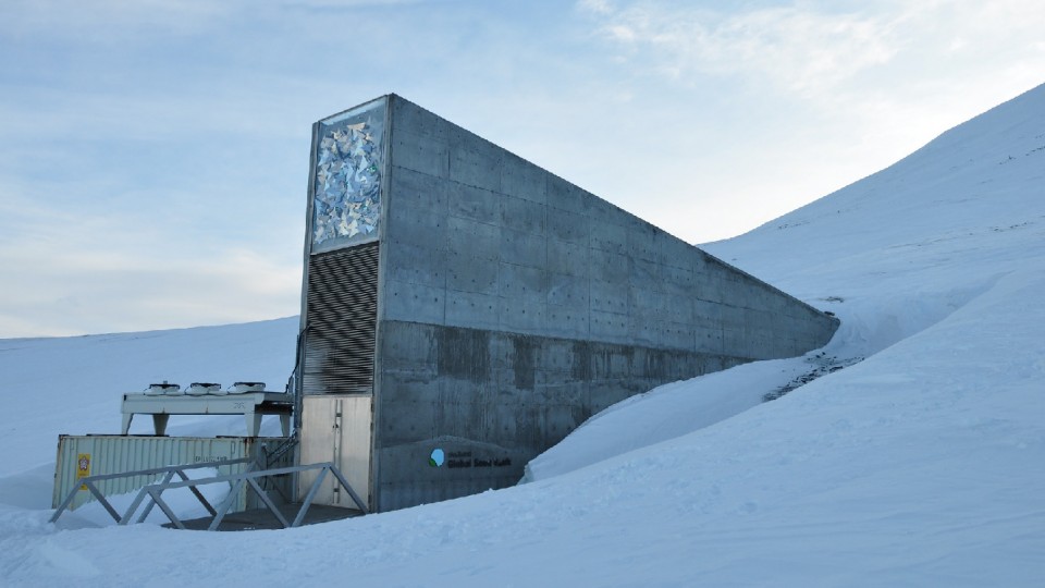 Svalbard Global Seed Vault - The Octopian